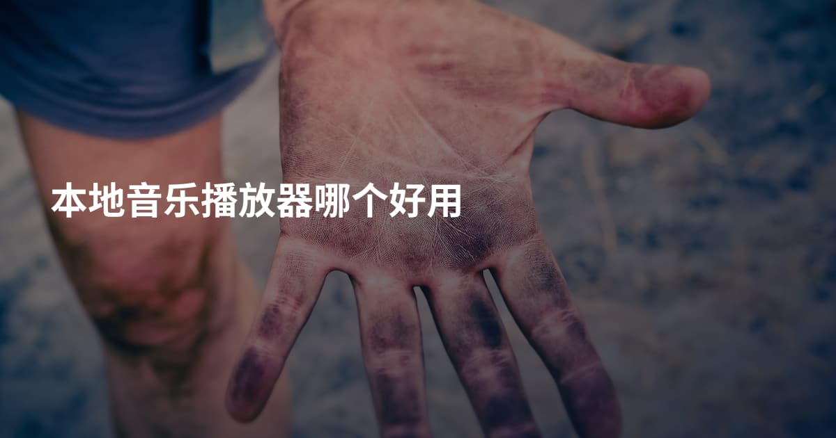本地音乐播放器哪个好用