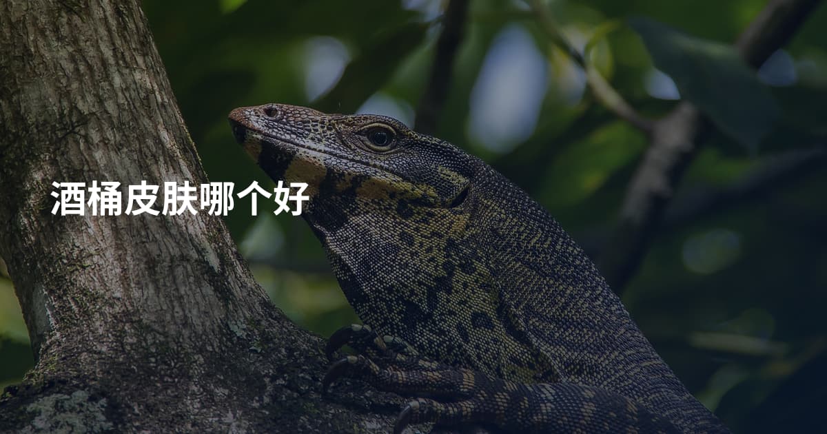 酒桶皮肤哪个好