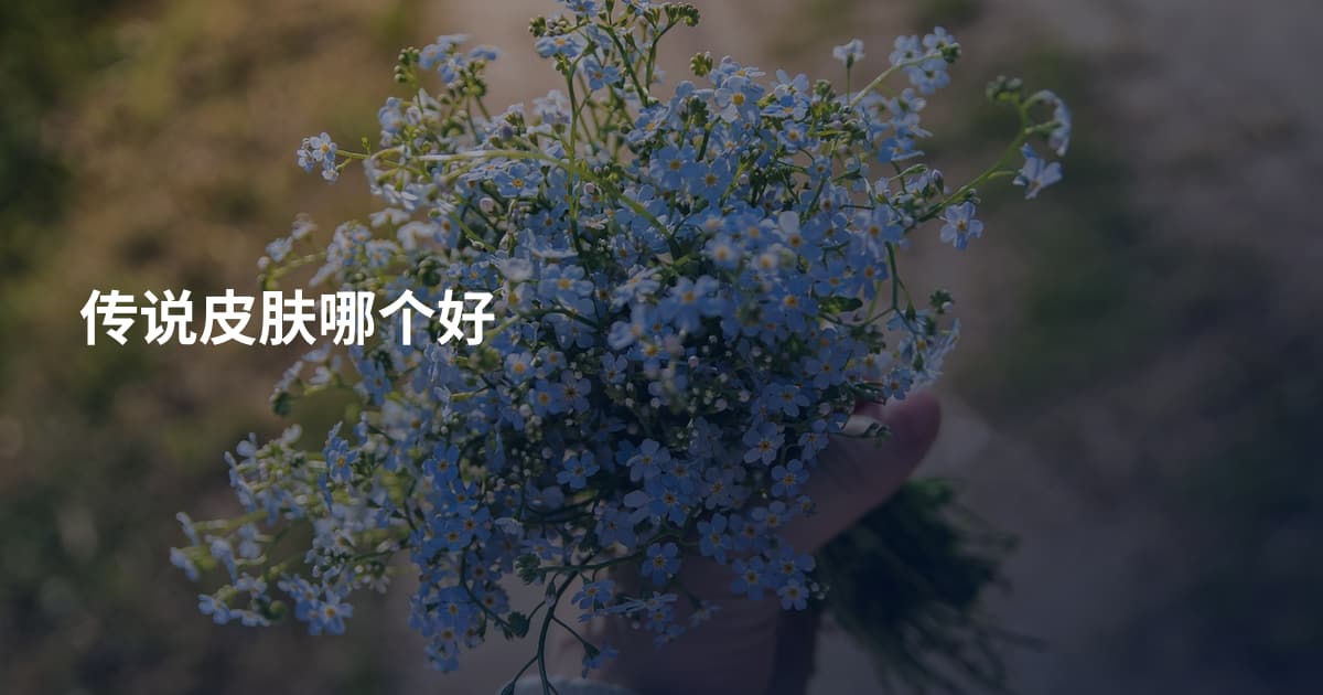 传说皮肤哪个好