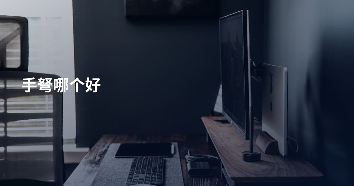 手弩哪个好