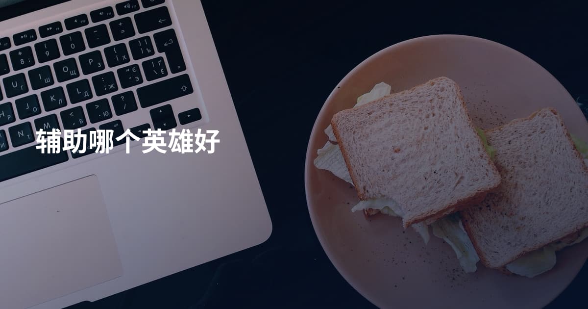 辅助哪个英雄好