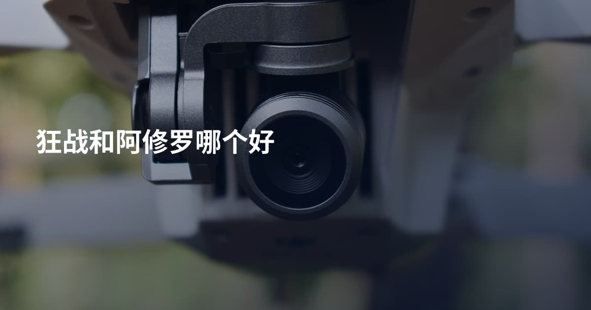狂战和阿修罗哪个好