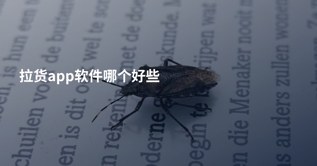 拉货app软件哪个好些