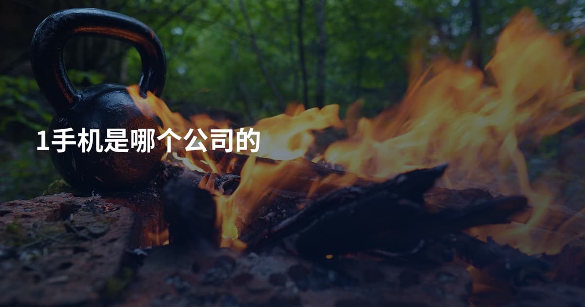 1手机是哪个公司的