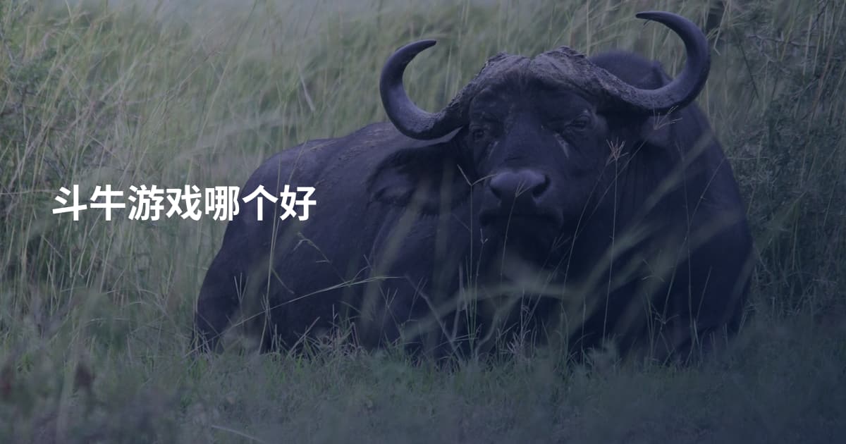 斗牛游戏哪个好