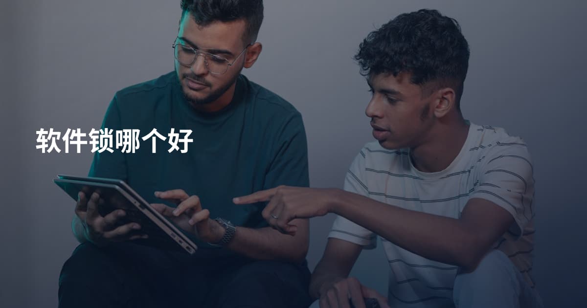 软件锁哪个好