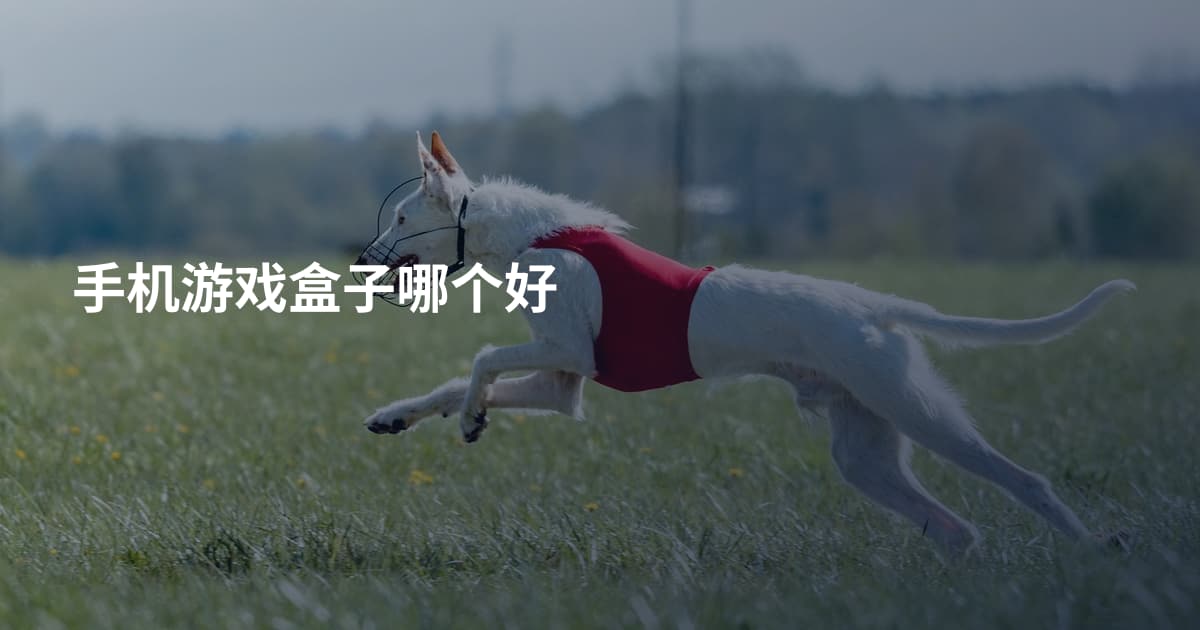 手机游戏盒子哪个好