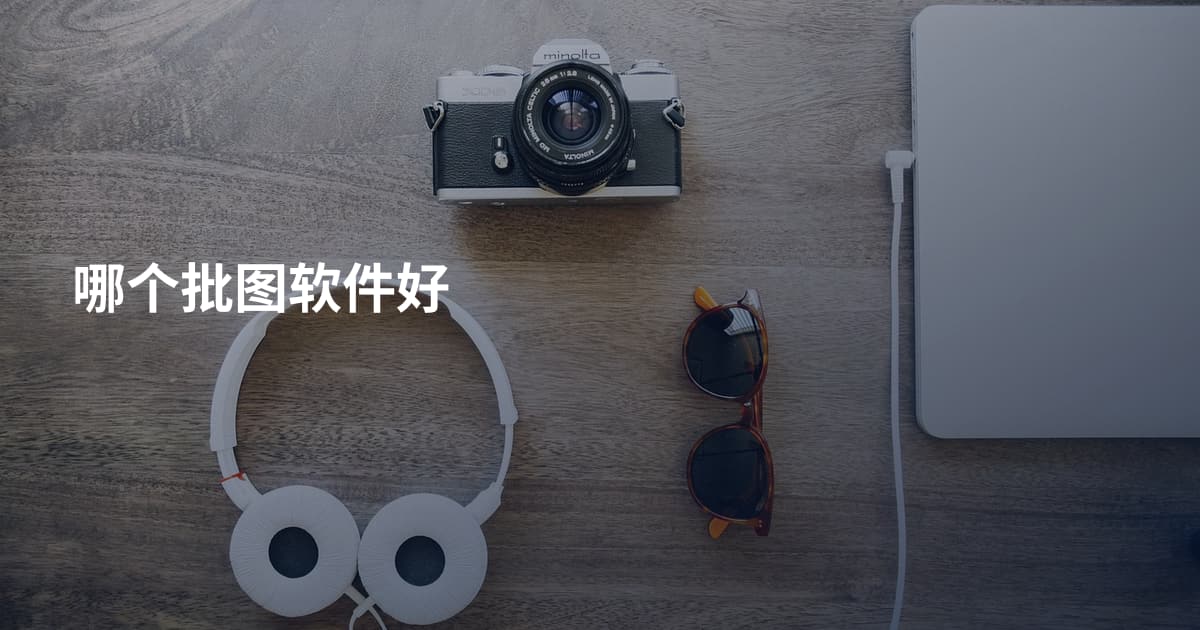 哪个批图软件好