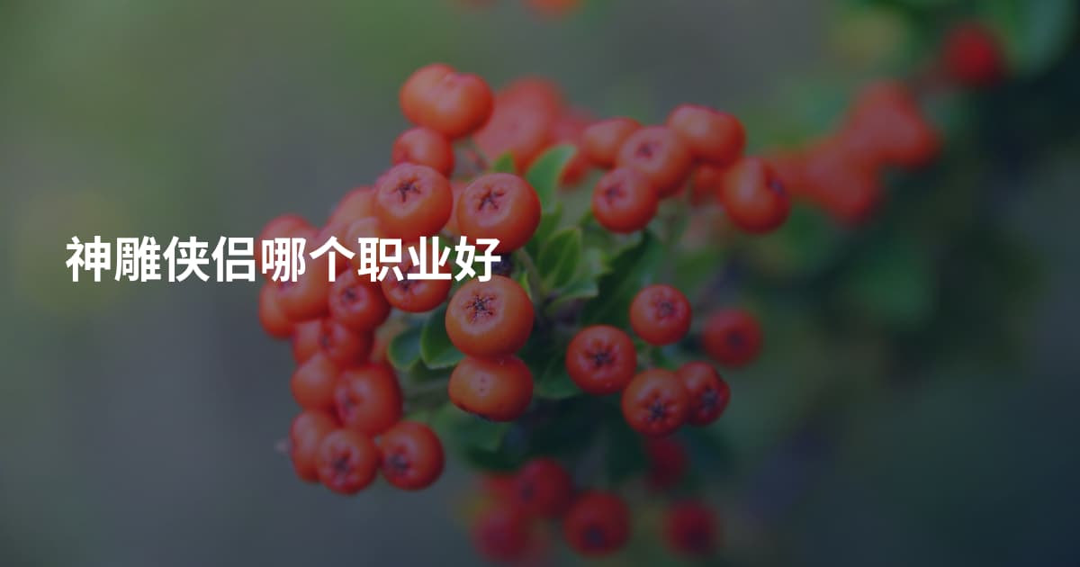 神雕侠侣哪个职业好