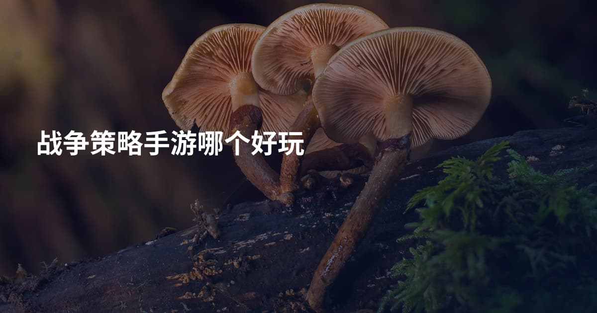 战争策略手游哪个好玩