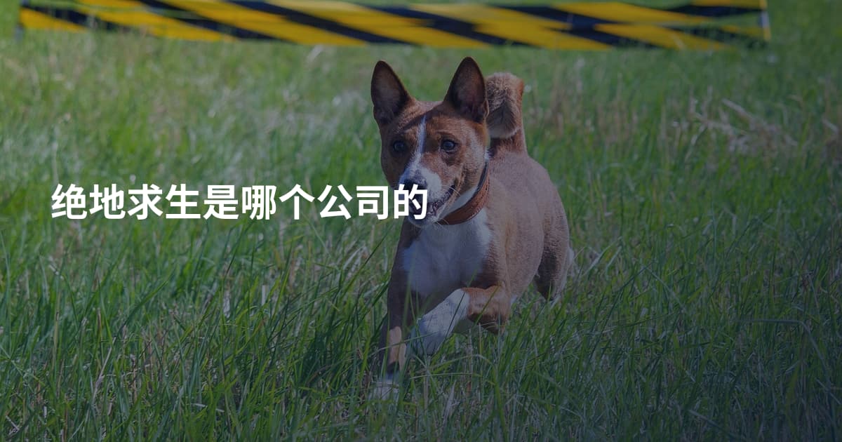 绝地求生是哪个公司的