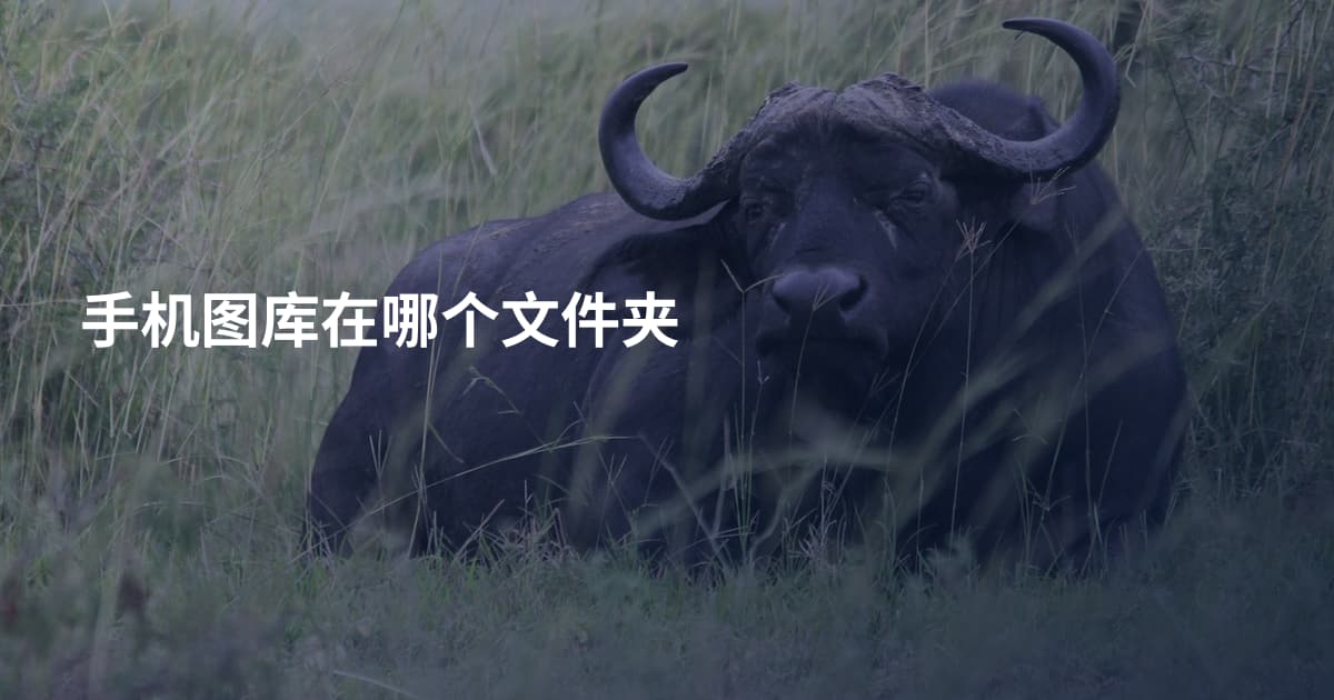 手机图库在哪个文件夹