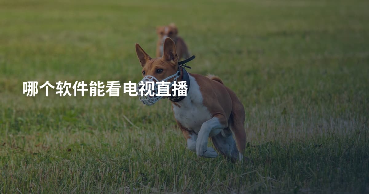 哪个软件能看电视直播