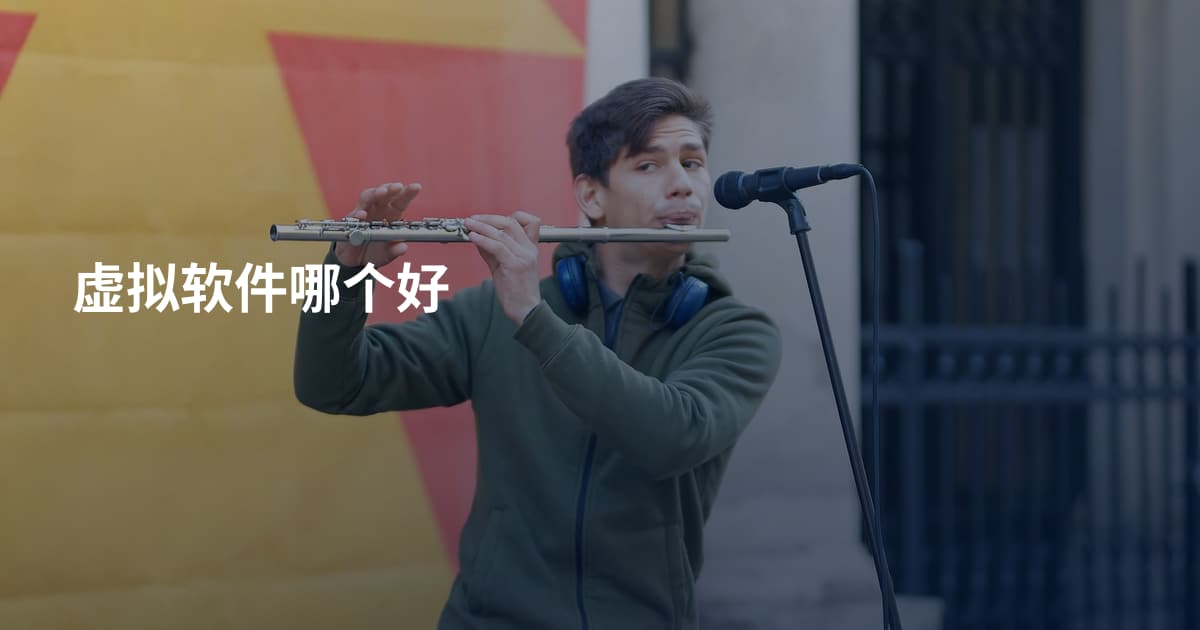 虚拟软件哪个好
