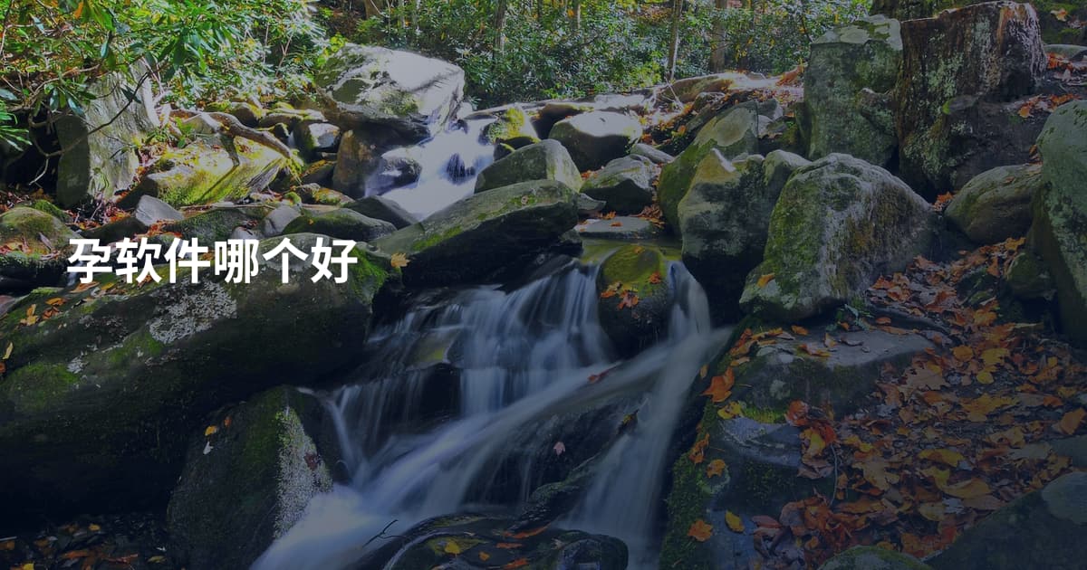 孕软件哪个好