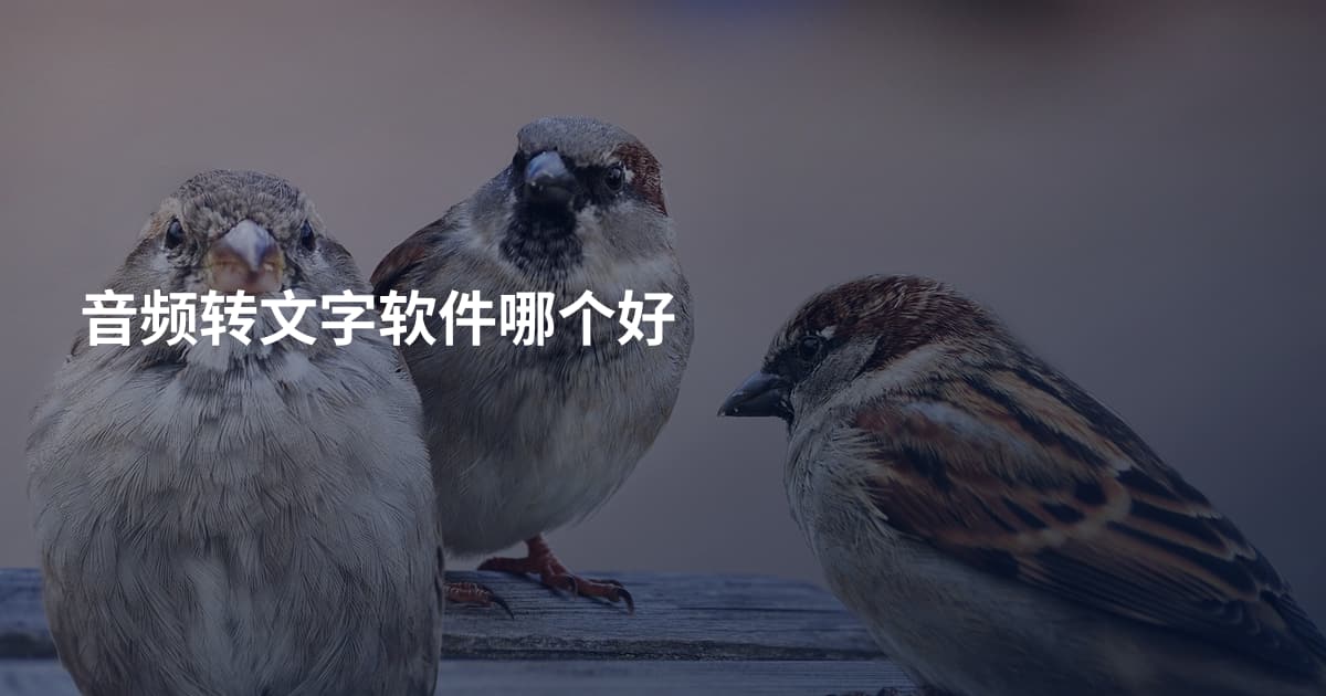 音频转文字软件哪个好