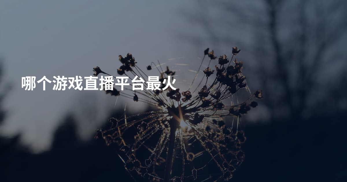 哪个游戏直播平台最火