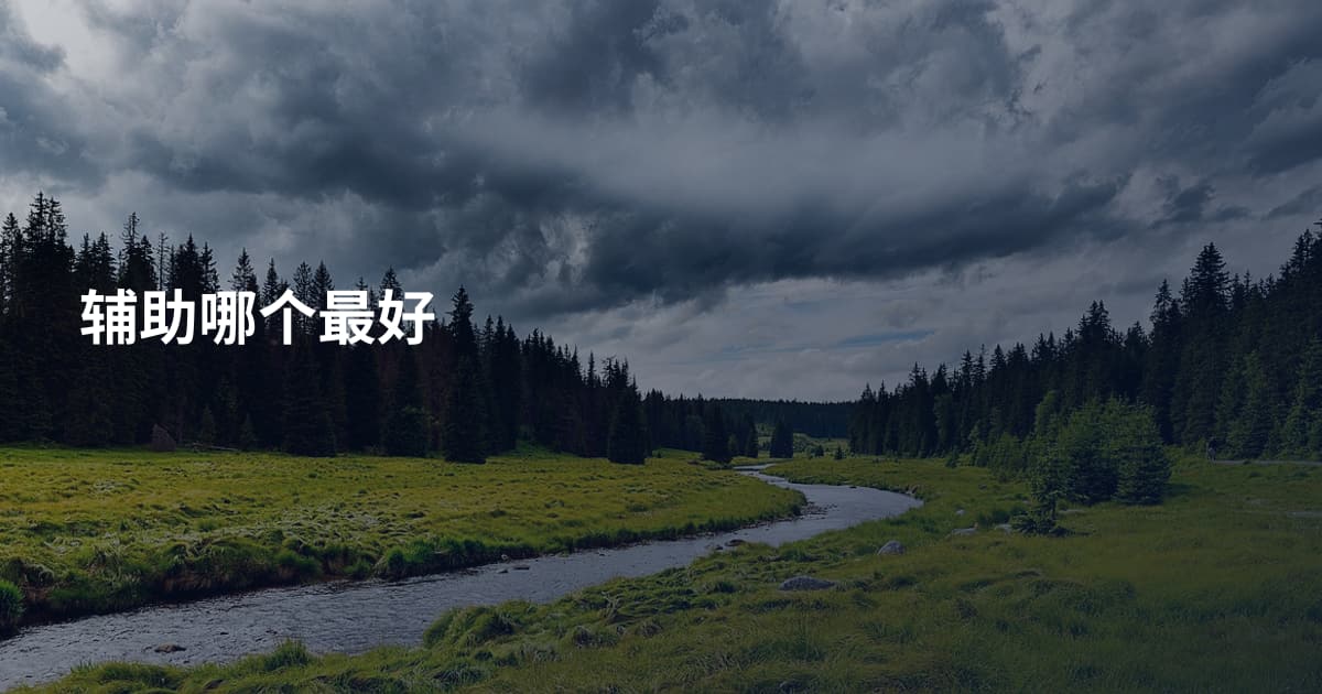 辅助哪个最好