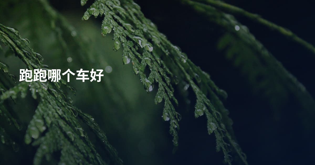 跑跑哪个车好