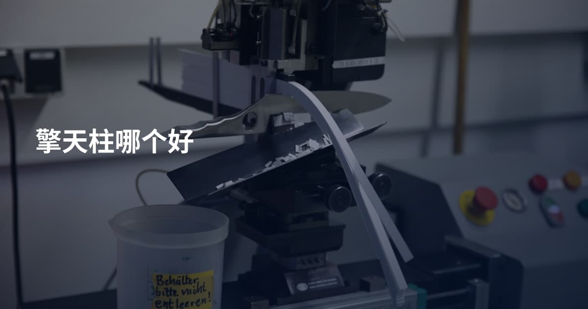 擎天柱哪个好