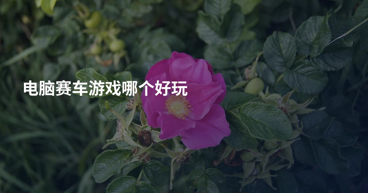 电脑赛车游戏哪个好玩