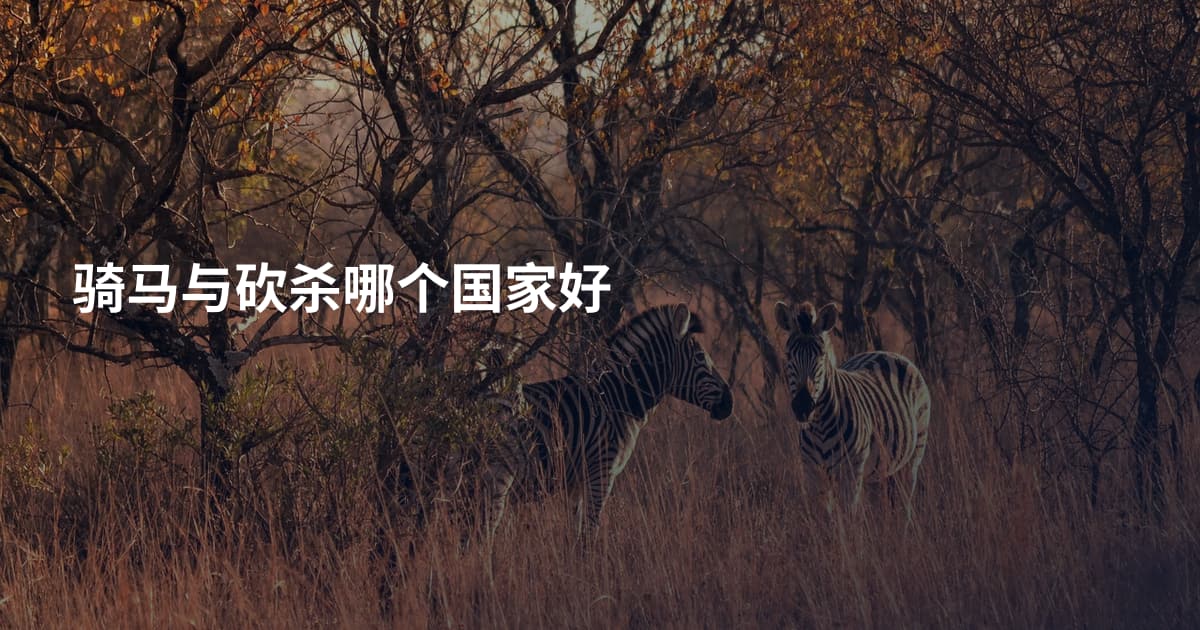 骑马与砍杀哪个国家好