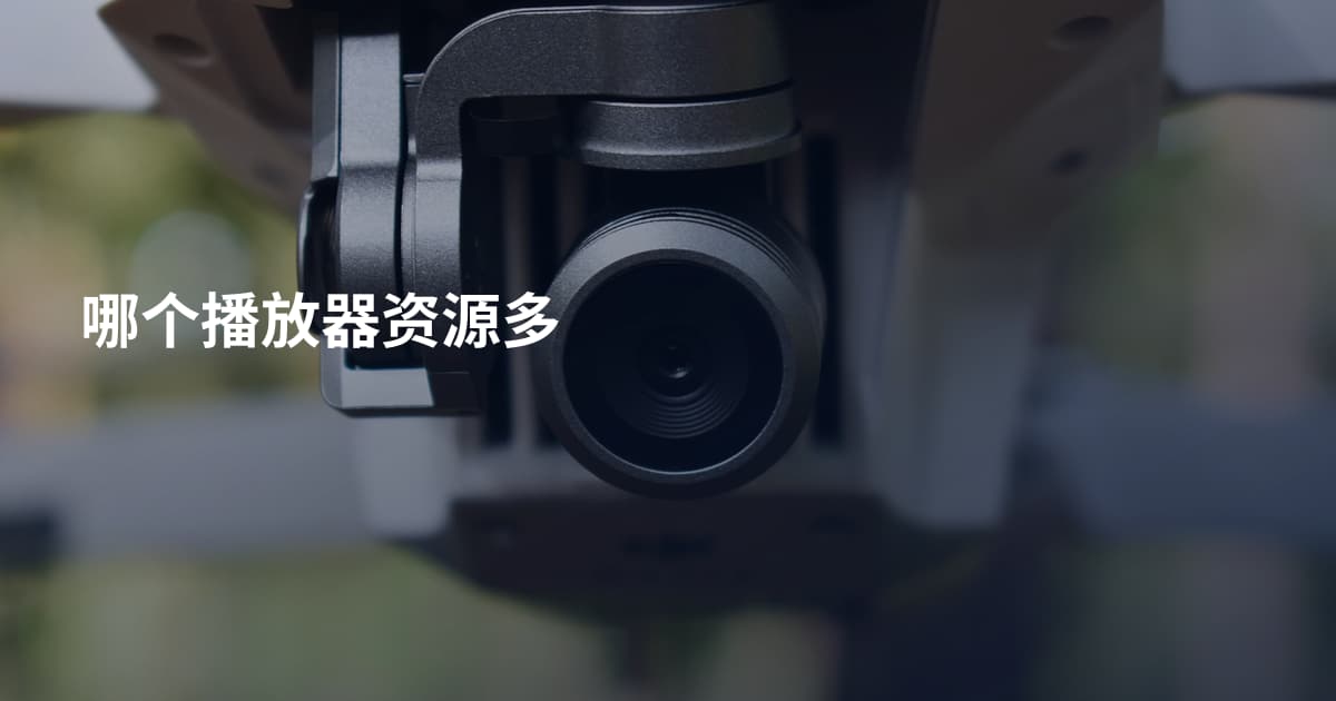 哪个播放器资源多