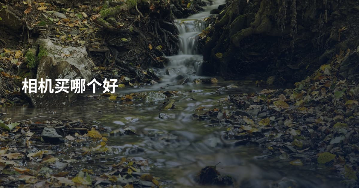 相机买哪个好