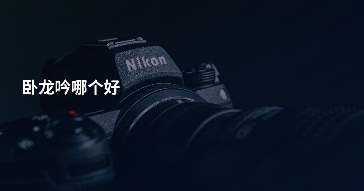 卧龙吟哪个好