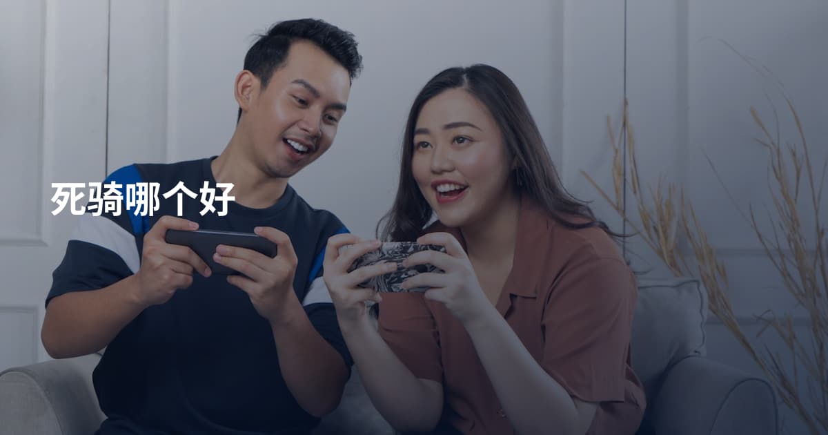 死骑哪个好