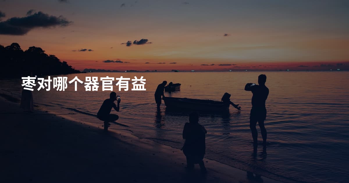 枣对哪个器官有益