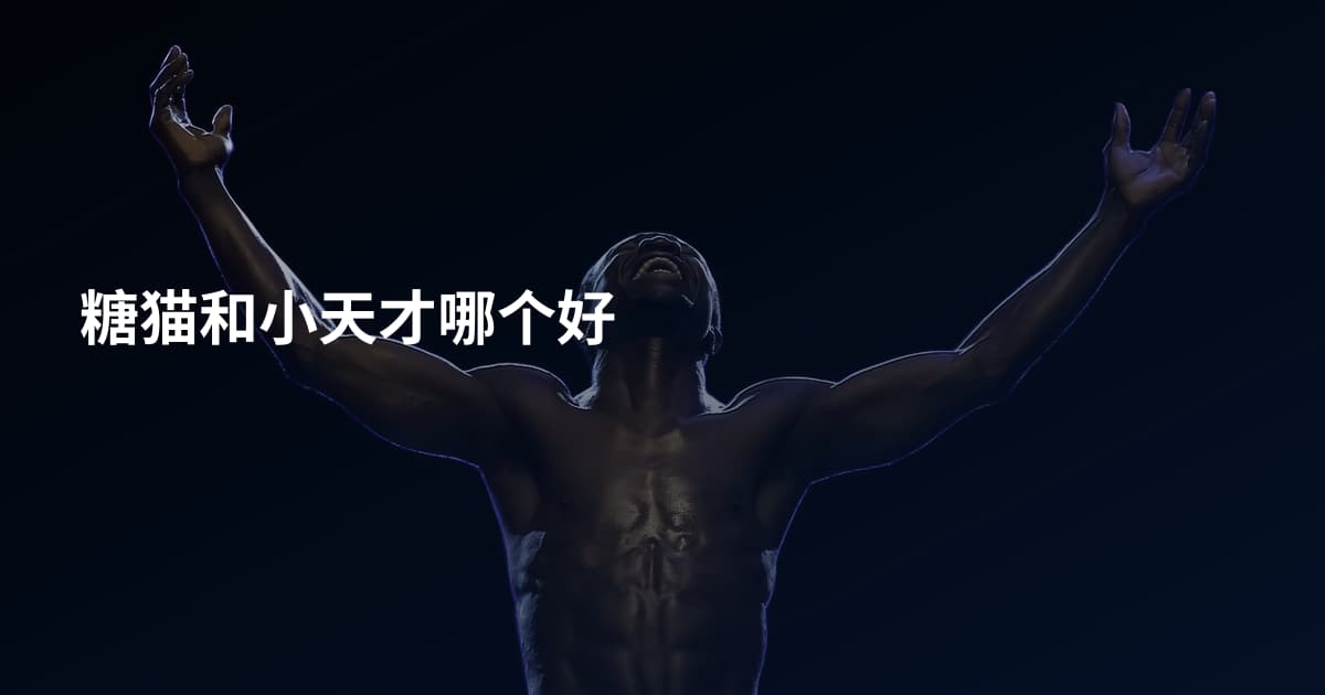 糖猫和小天才哪个好