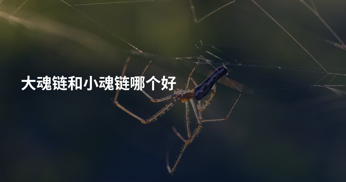 大魂链和小魂链哪个好