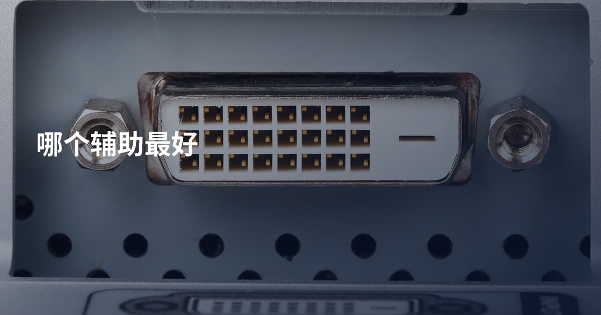 哪个辅助最好