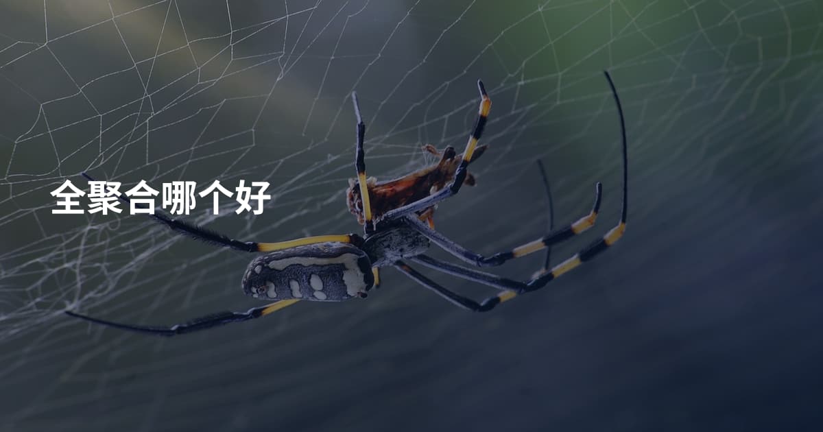 全聚合哪个好