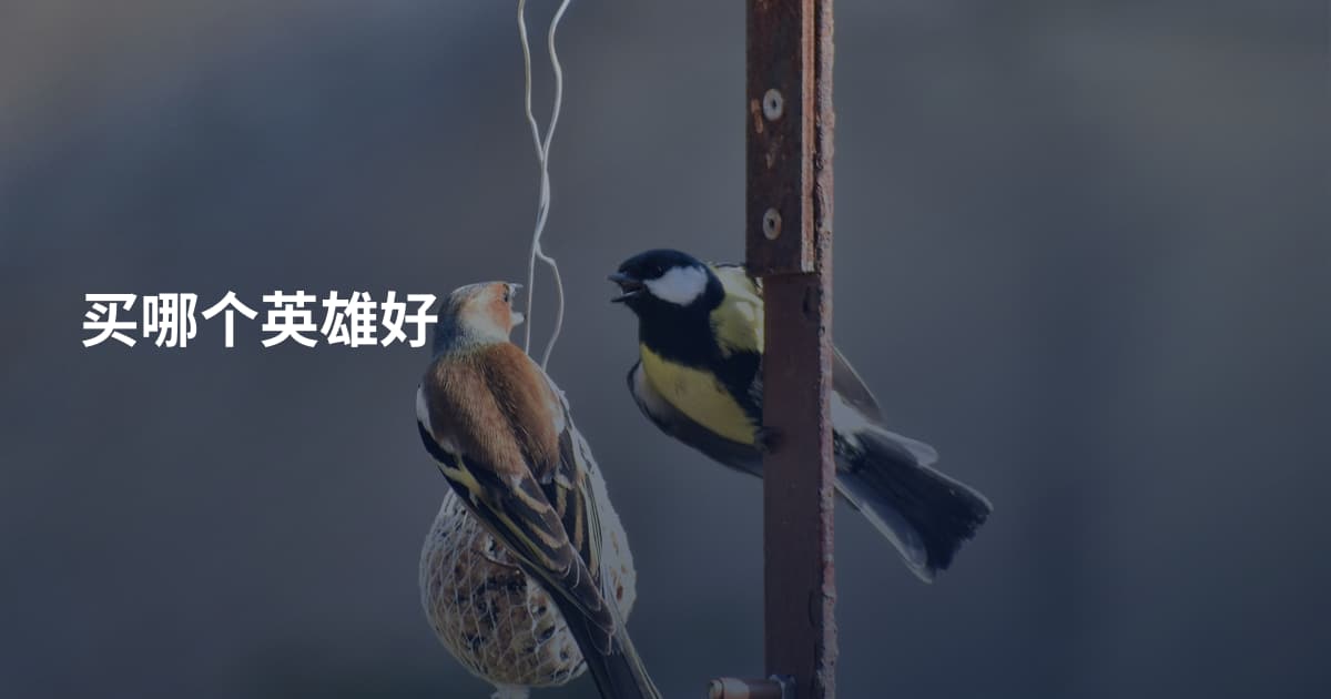 买哪个英雄好