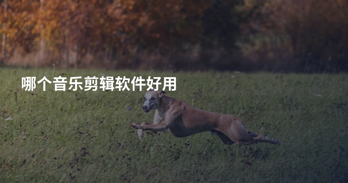 哪个音乐剪辑软件好用