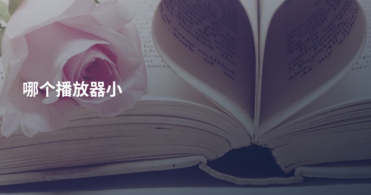 哪个播放器小