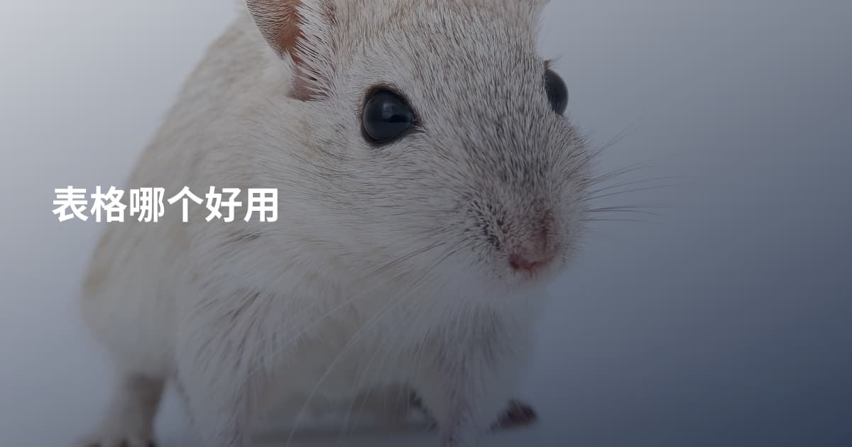 表格哪个好用