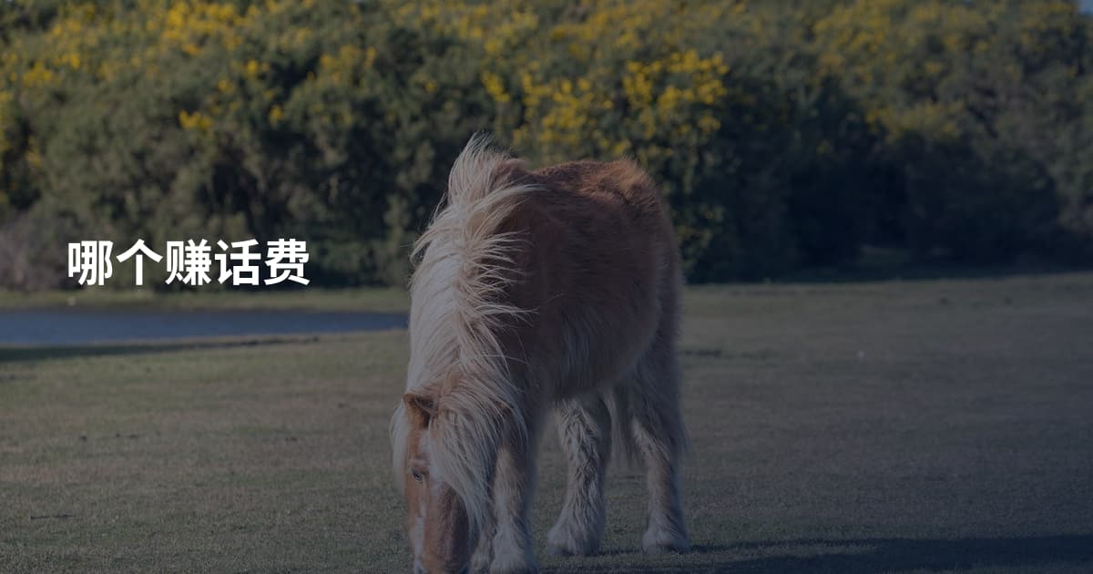 哪个赚话费