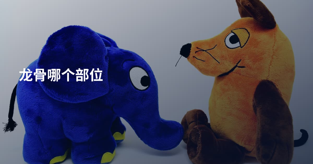 龙骨哪个部位
