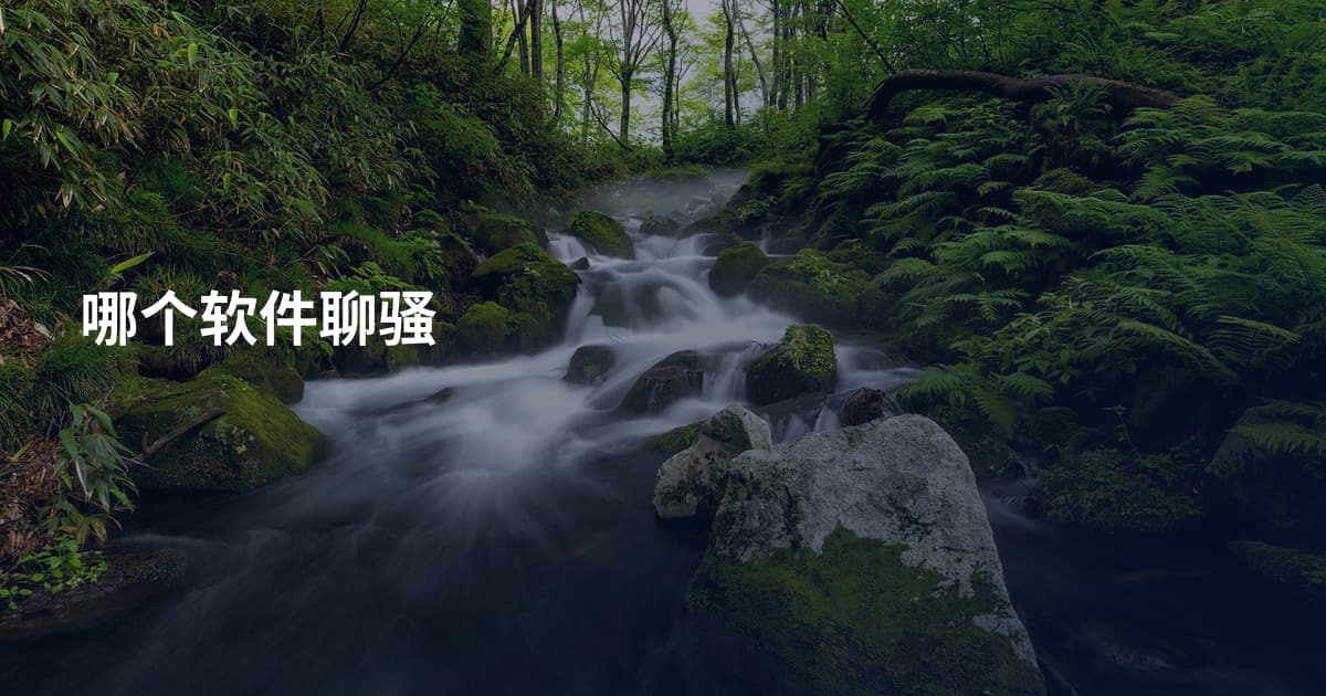 哪个软件聊骚