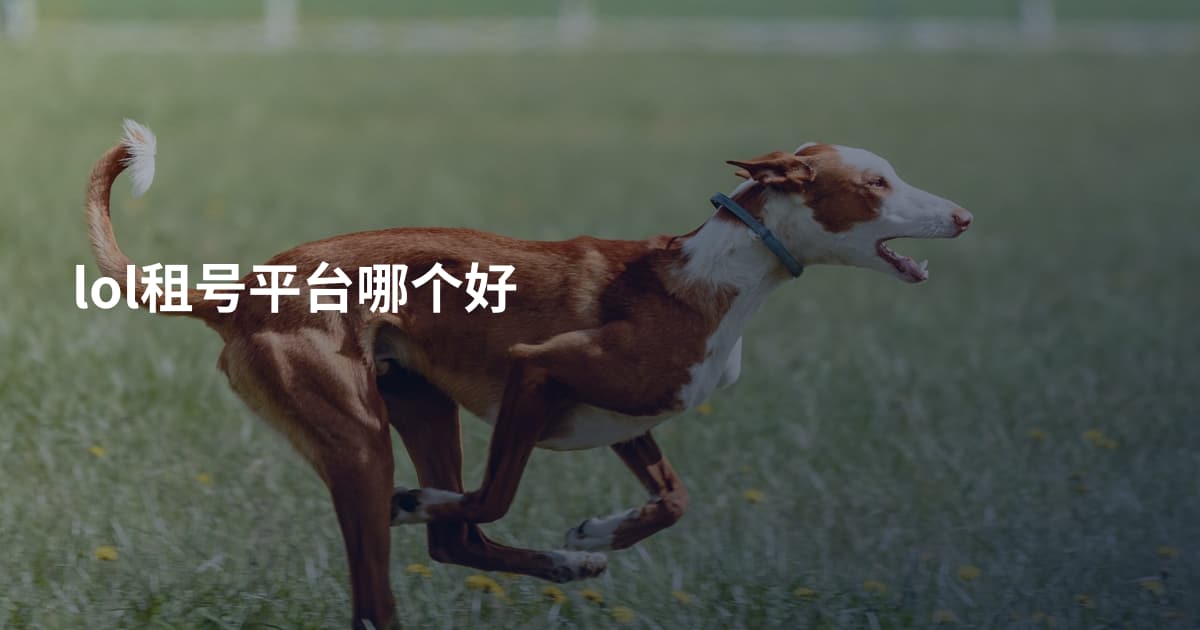 lol租号平台哪个好