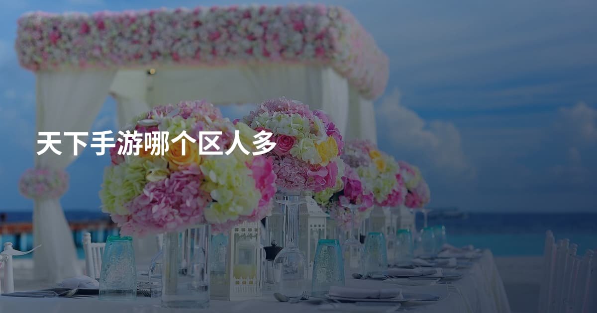 天下手游哪个区人多