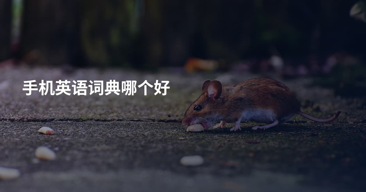手机英语词典哪个好