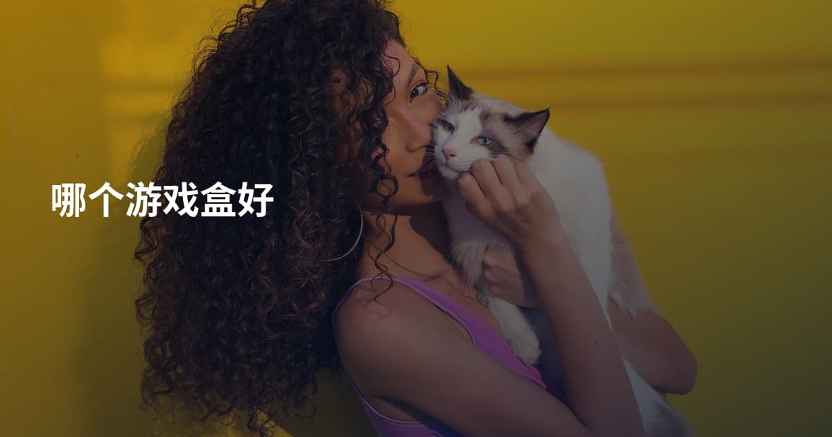 哪个游戏盒好