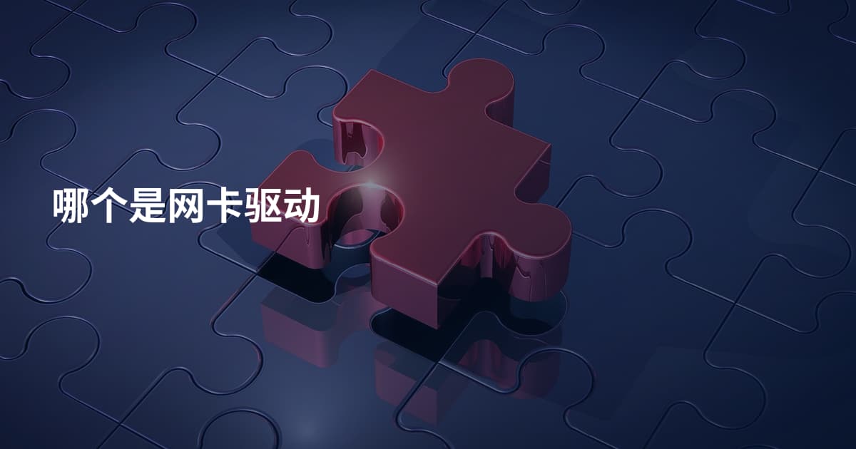 哪个是网卡驱动