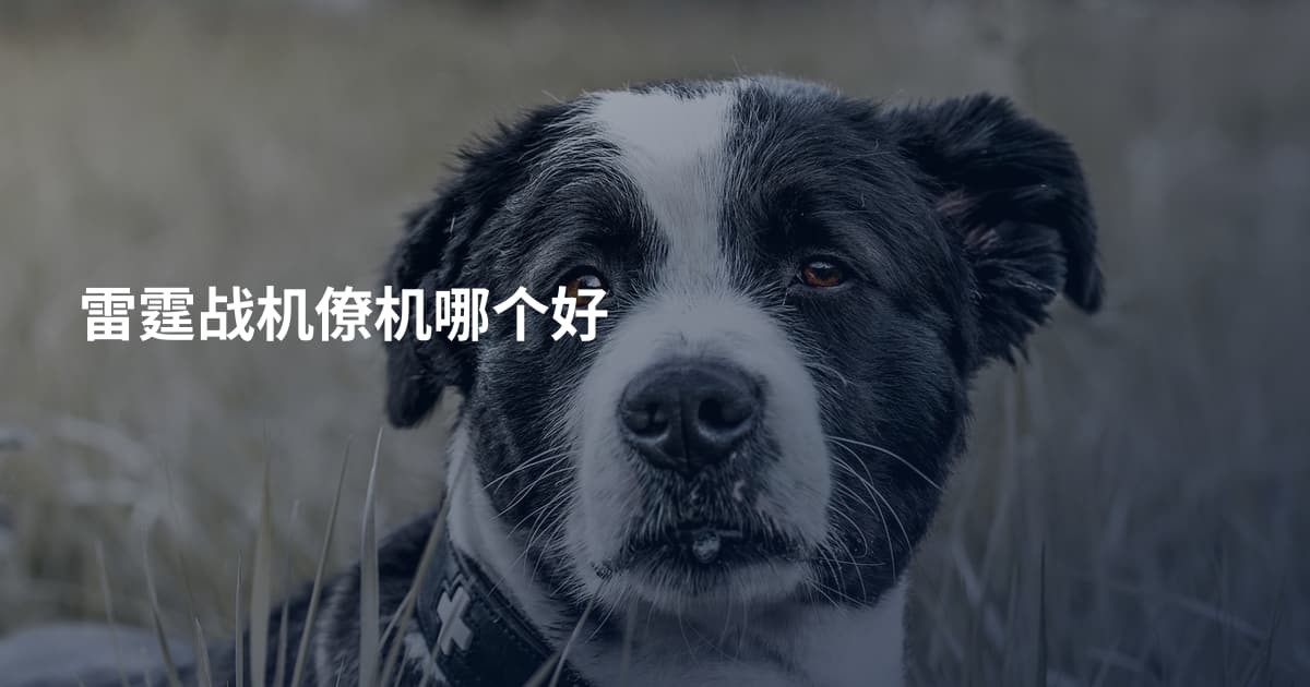 雷霆战机僚机哪个好