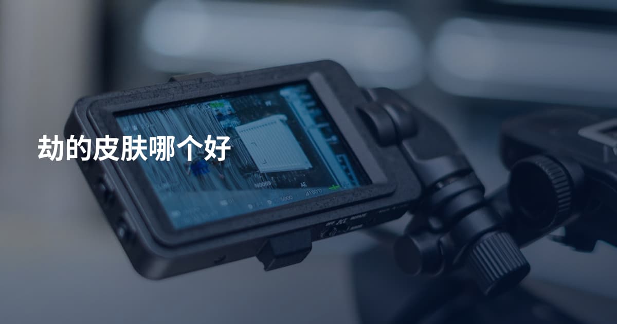 劫的皮肤哪个好