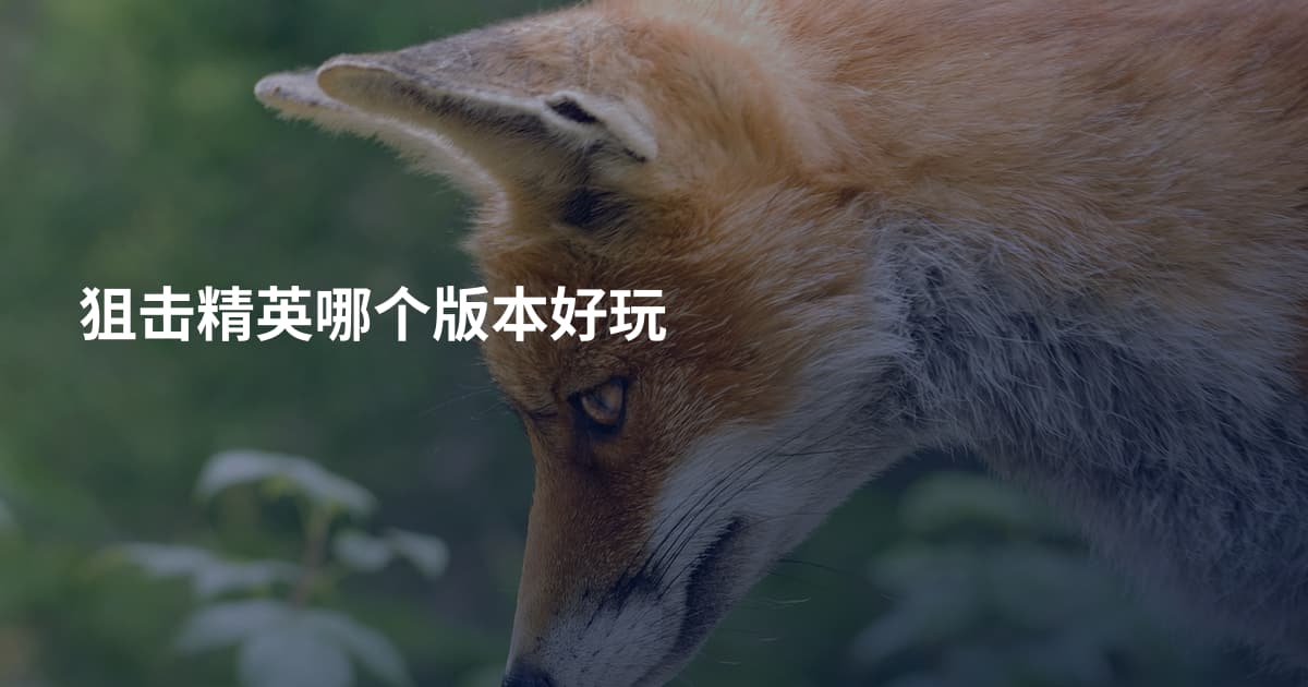 狙击精英哪个版本好玩